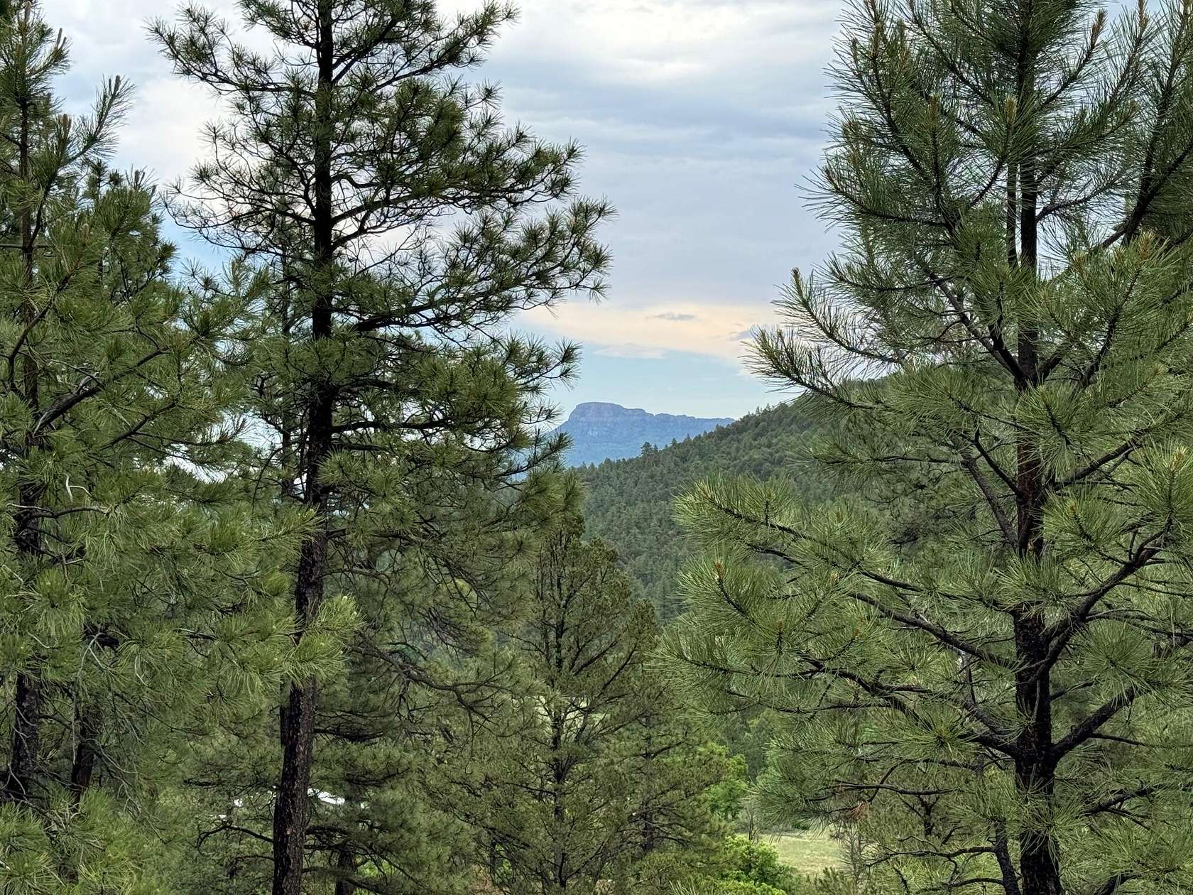 35 Acres of Land for Sale in Trinidad, Colorado