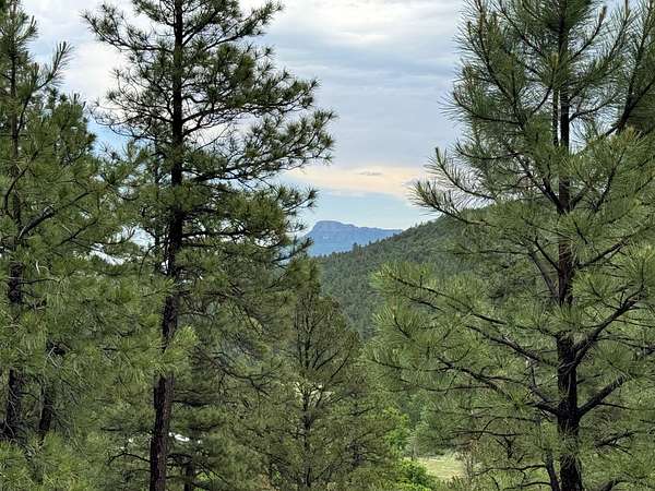 35 Acres of Land for Sale in Trinidad, Colorado