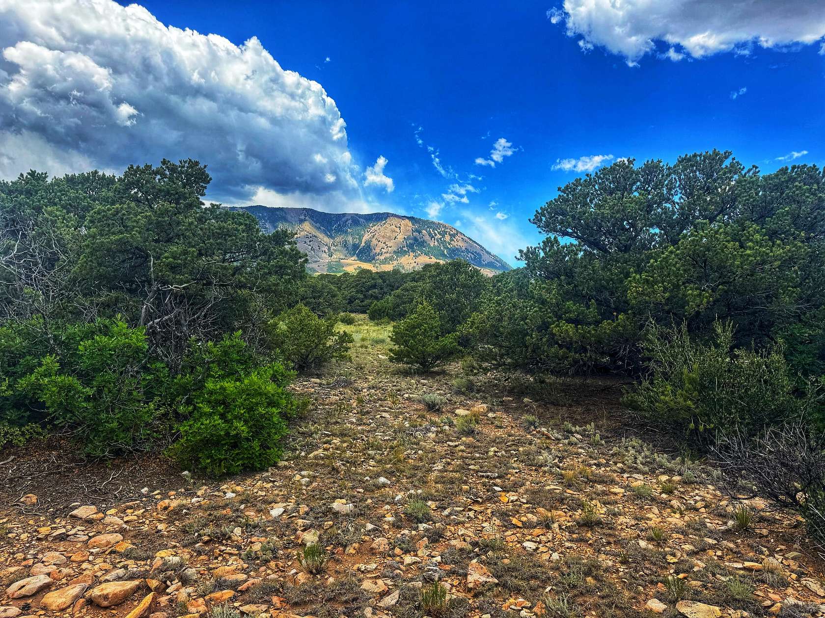 35 Acres of Recreational Land for Sale in Gardner, Colorado