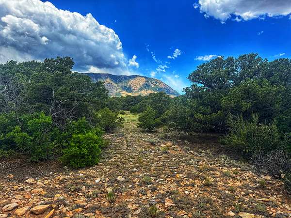 35 Acres of Recreational Land for Sale in Gardner, Colorado