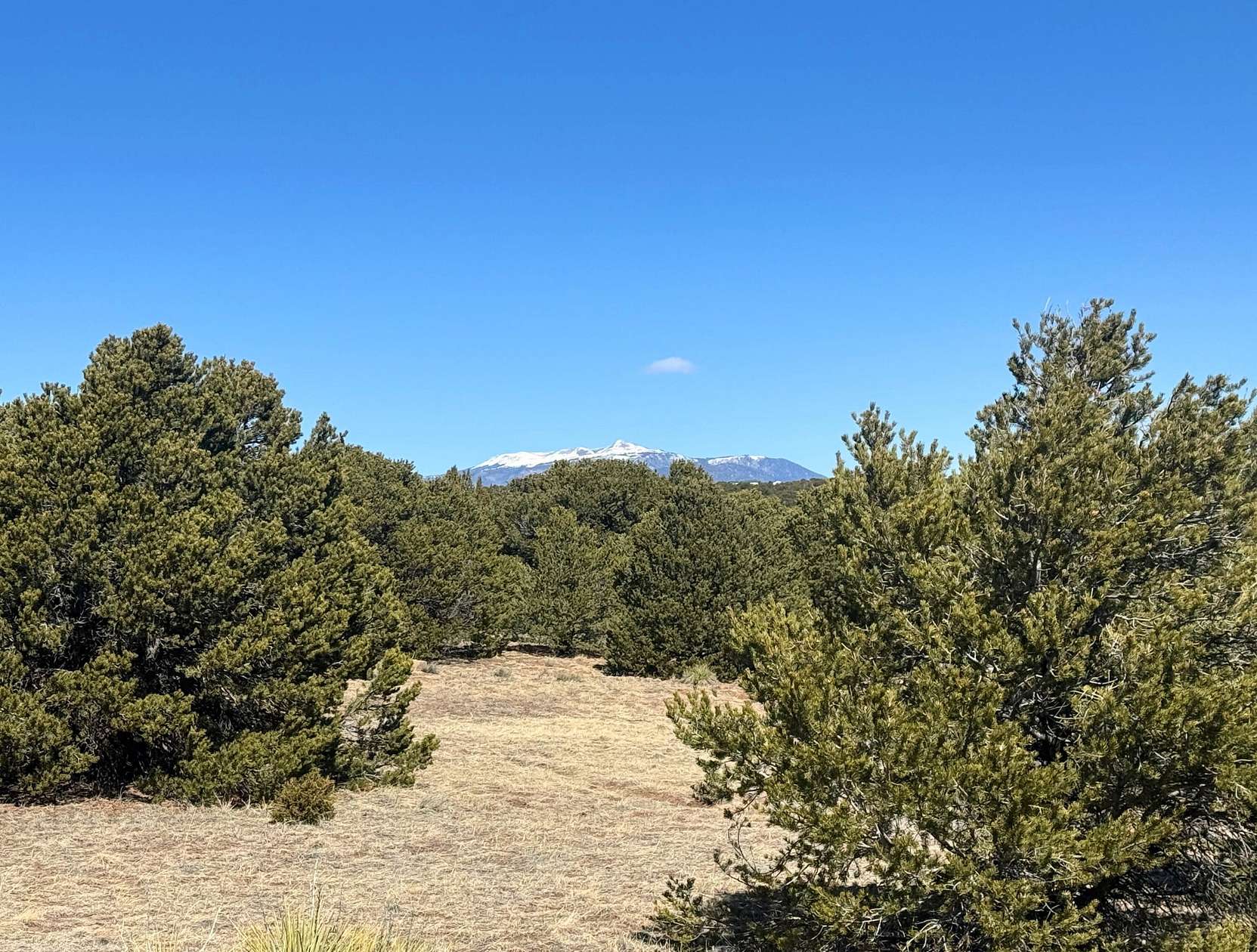 4 Acres of Land for Sale in Walsenburg, Colorado