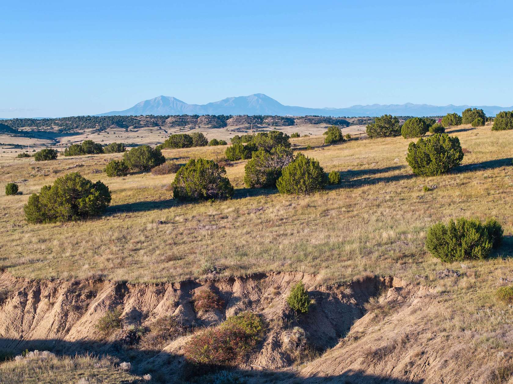 35 Acres of Land for Sale in Rye, Colorado