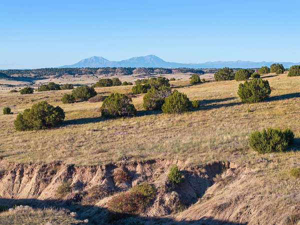 35 Acres of Land for Sale in Rye, Colorado