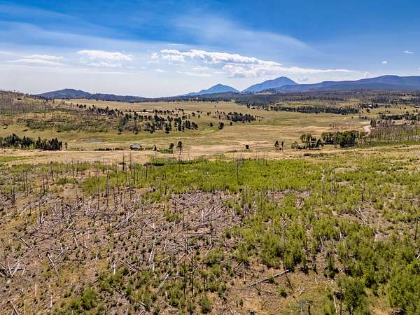 1 Acre of Land for Sale in Fort Garland, Colorado