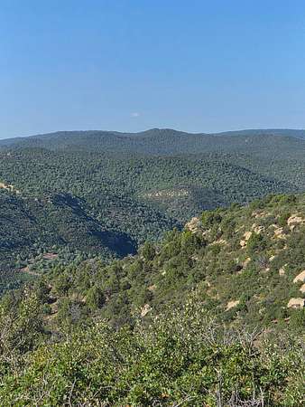 40 Acres of Land for Sale in Trinidad, Colorado
