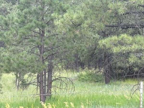 5 Acres of Land for Sale in Boncarbo, Colorado