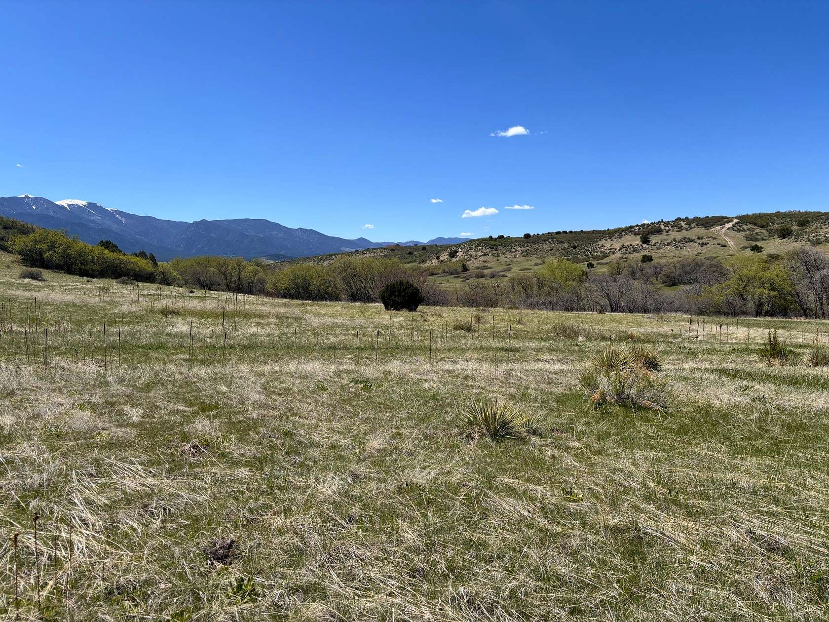 0.2 Acres of Land for Sale in Colorado City, Colorado