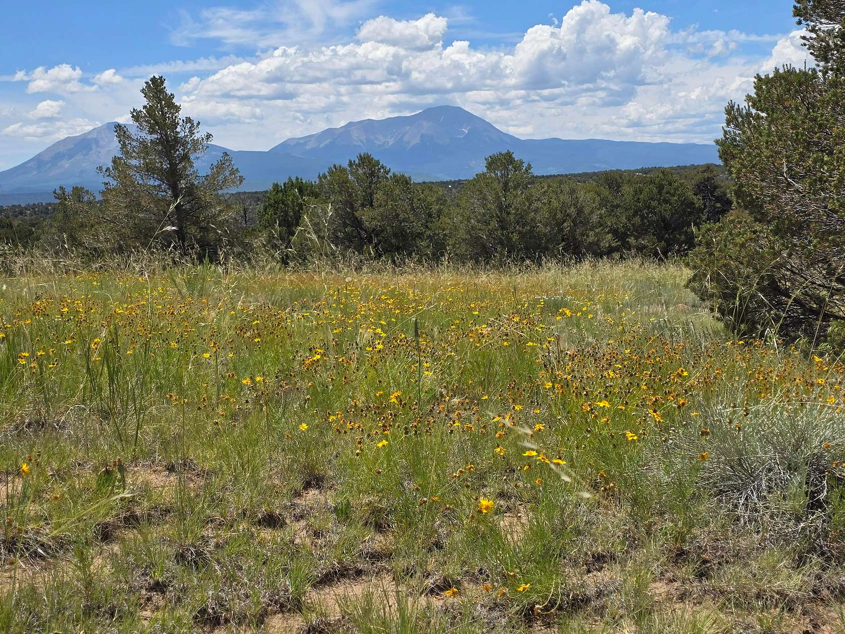 2 Acres of Land for Sale in Walsenburg, Colorado