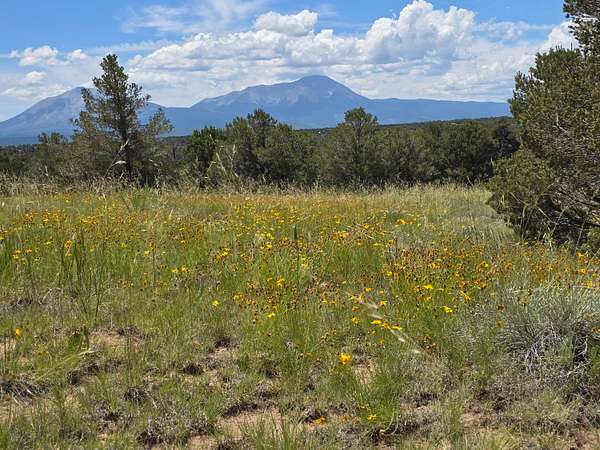 2 Acres of Land for Sale in Walsenburg, Colorado