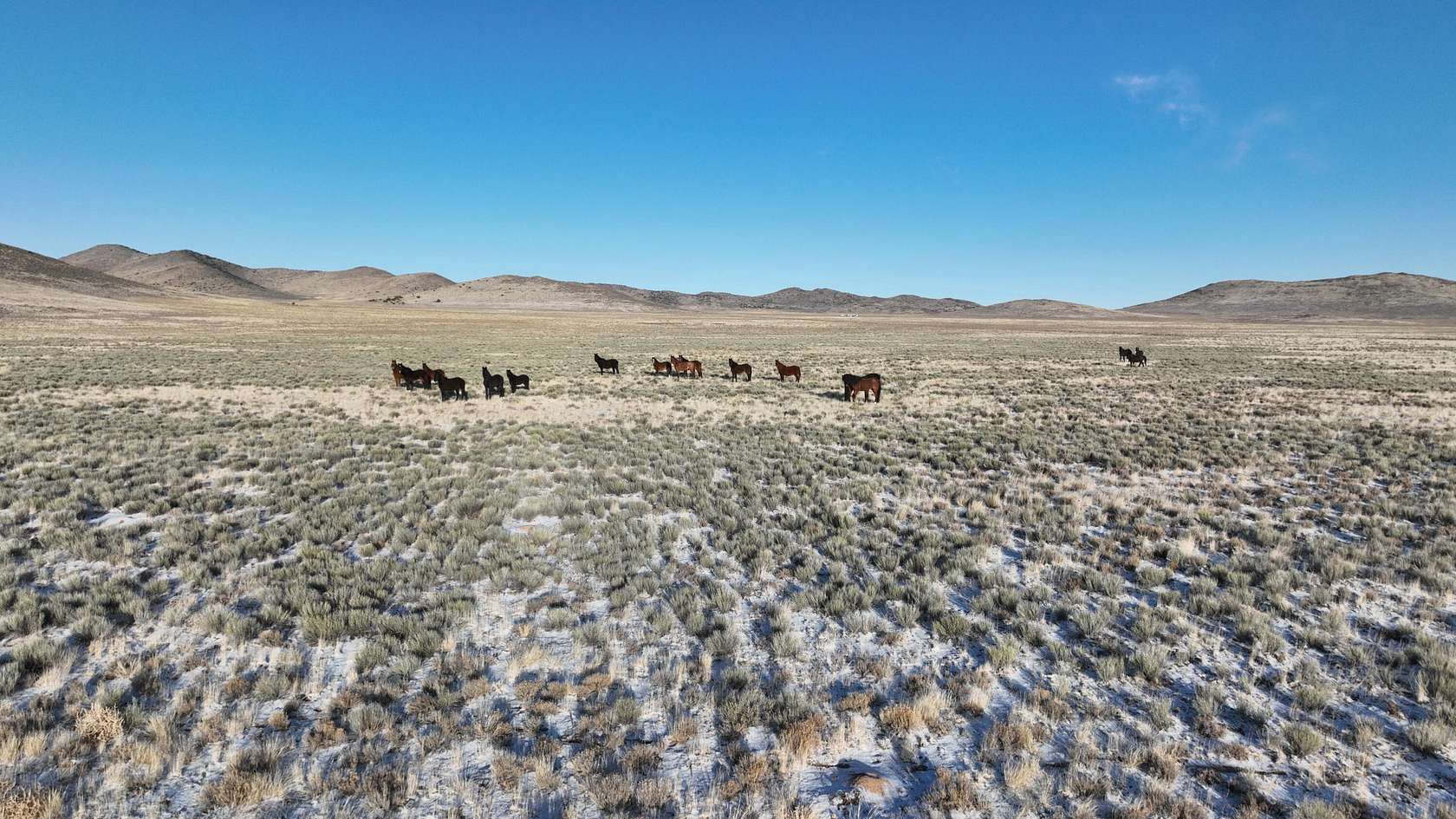 244 Acres of Land for Sale in Sanford, Colorado