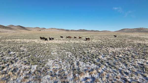 244 Acres of Land for Sale in Sanford, Colorado