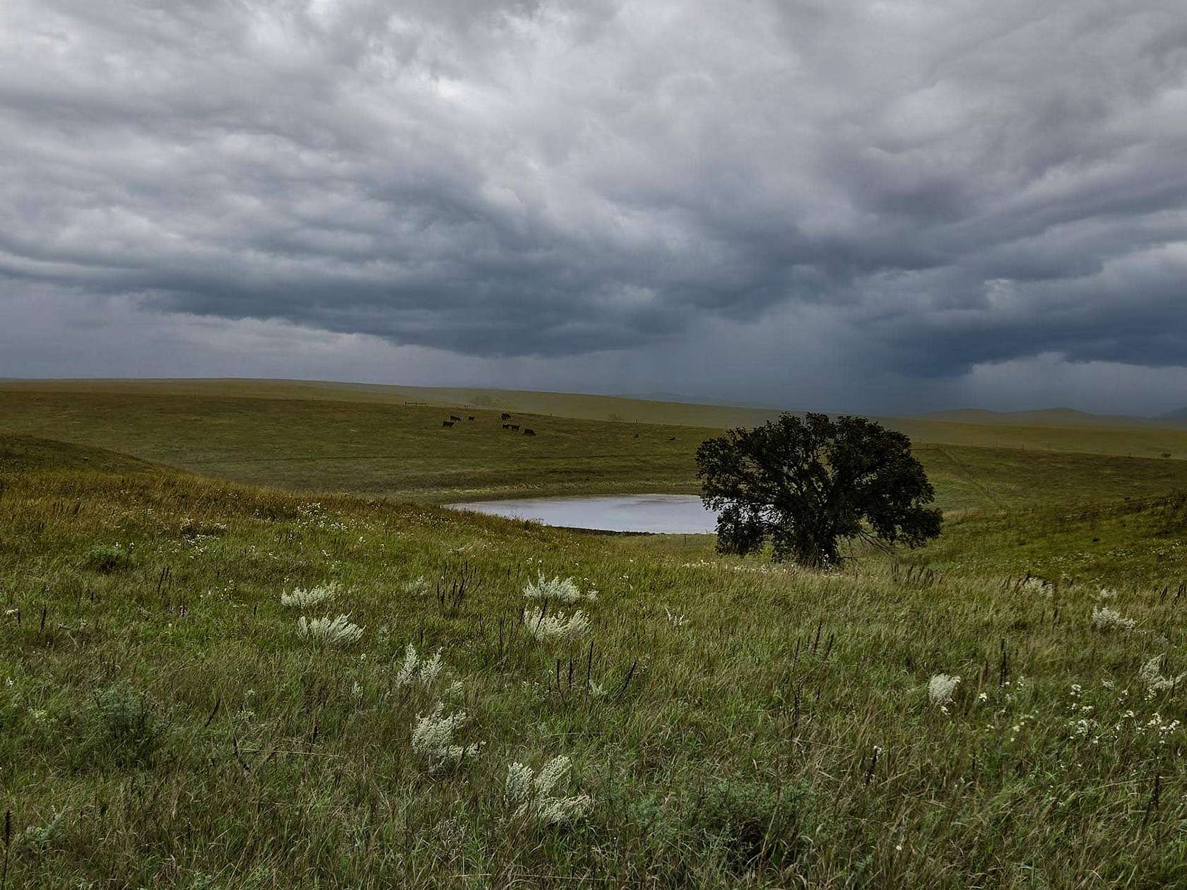 496 Acres of Recreational Land & Farm for Sale in Hamill, South Dakota