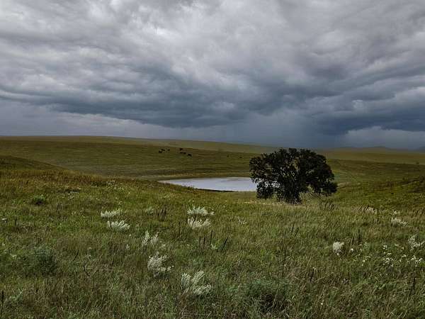 496 Acres of Recreational Land & Farm for Sale in Hamill, South Dakota