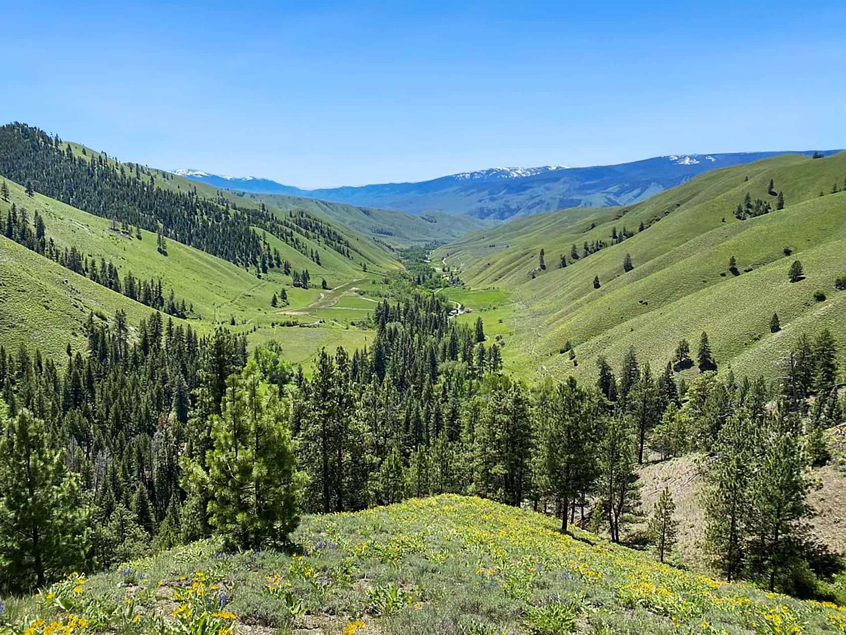 119 Acres of Land for Sale in Carmen, Idaho