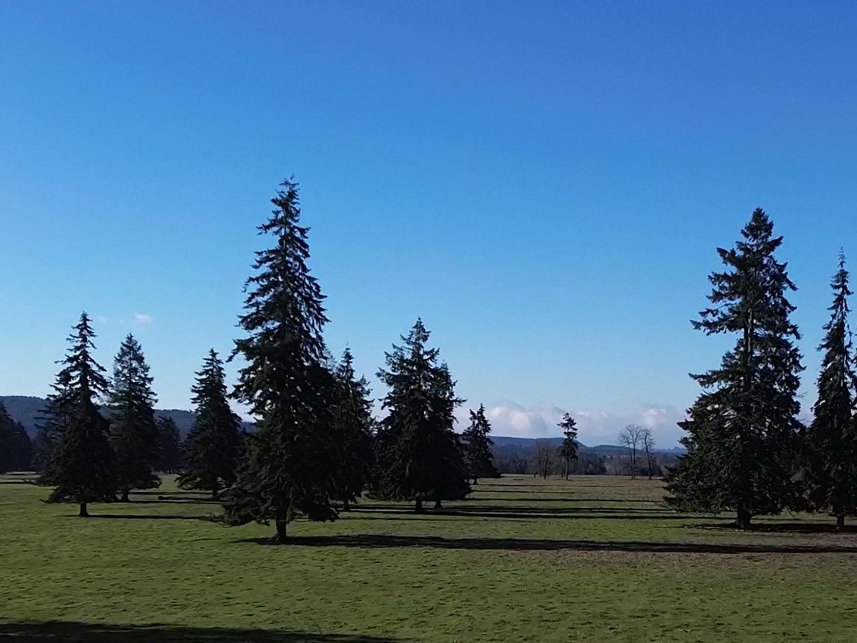 1,058 Acres of Land for Sale in Tenino, Washington