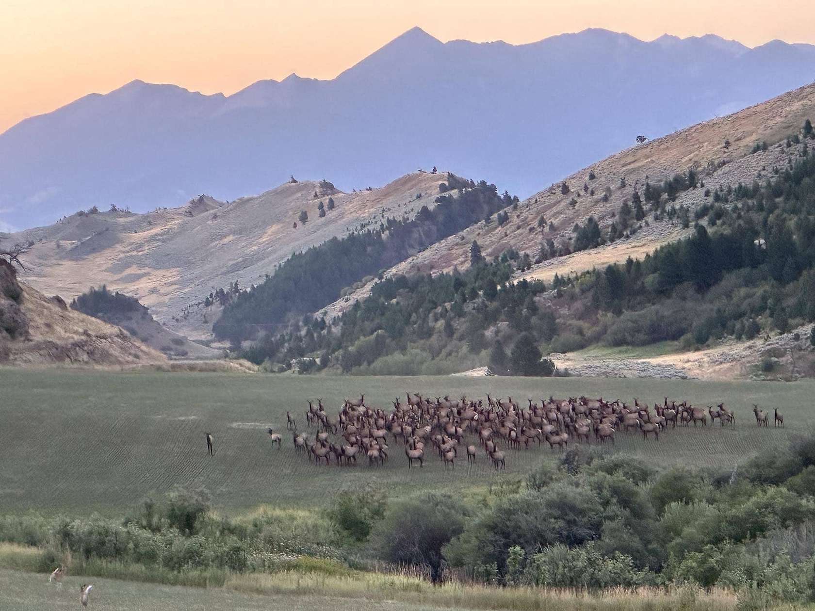 160 Acres of Recreational Land & Farm for Sale in Livingston, Montana