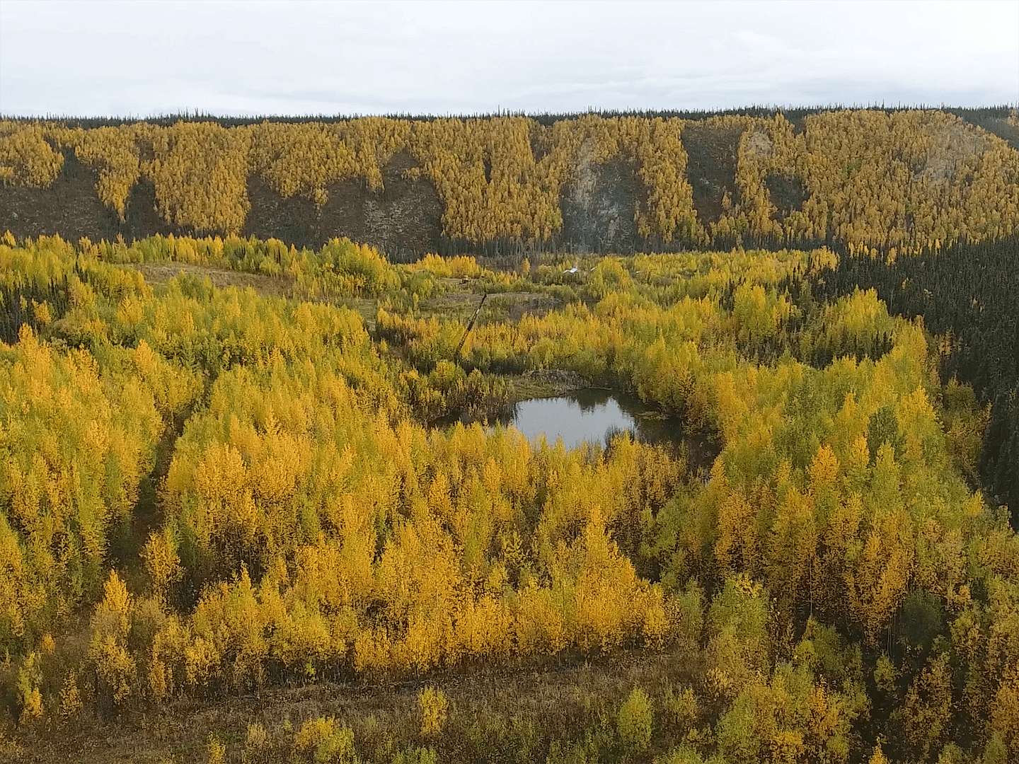 1,840 Acres of Recreational Land & Farm for Sale in Nenana, Alaska