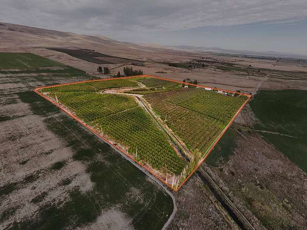 40 Acres of Land for Sale in Wapato, Washington