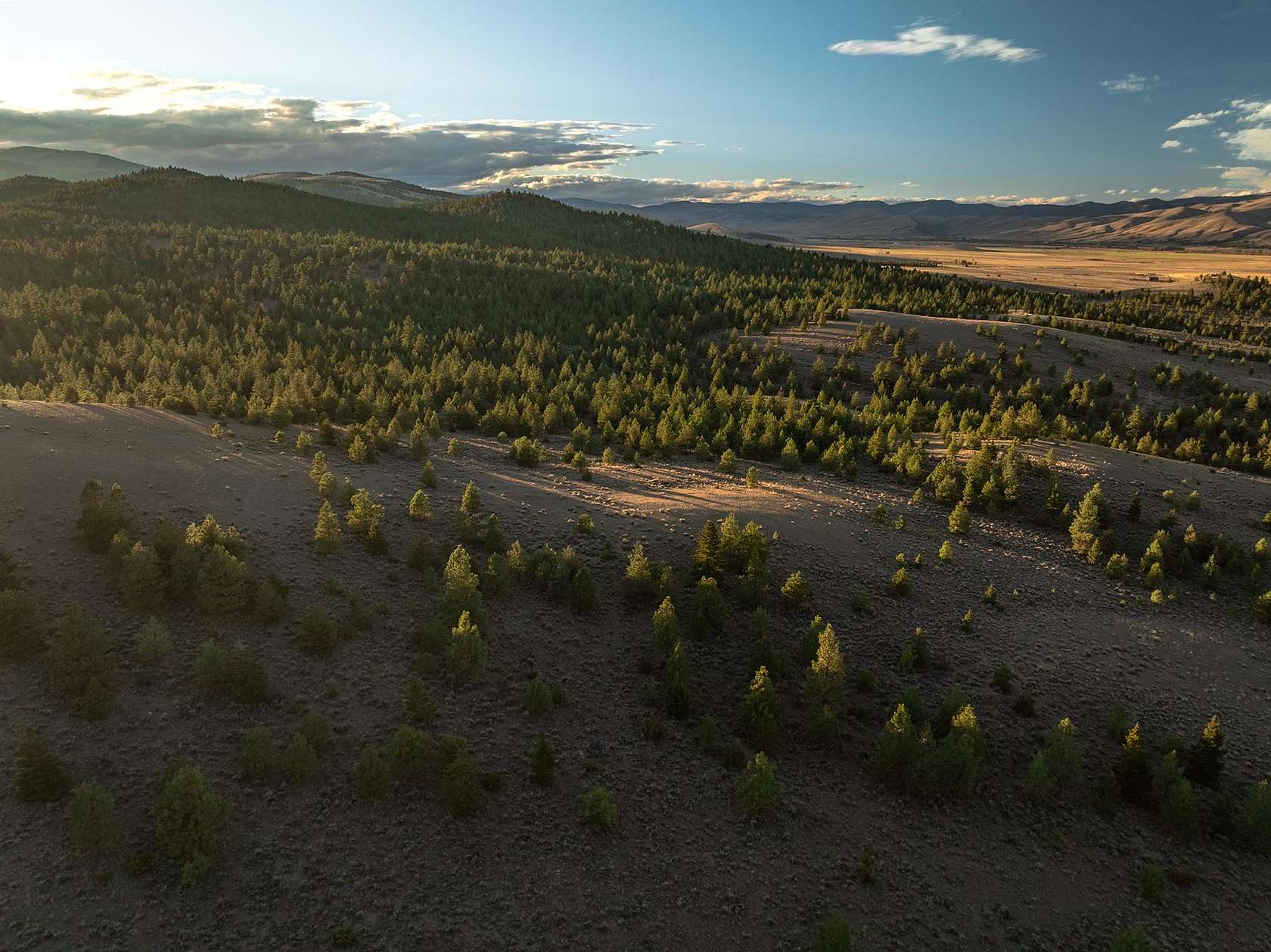 5,887 Acres of Land for Sale in Canyon Creek, Montana