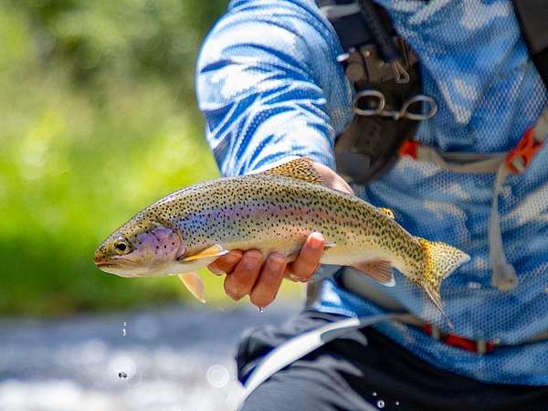 566 Acres of Land for Sale in Nye, Montana