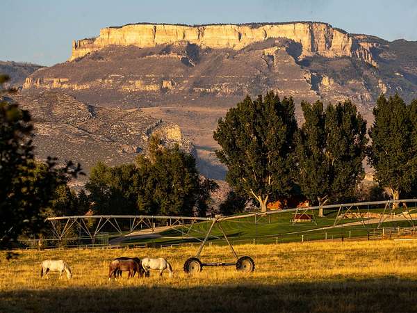266 Acres of Recreational & Residential Land for Sale in Shell, Wyoming