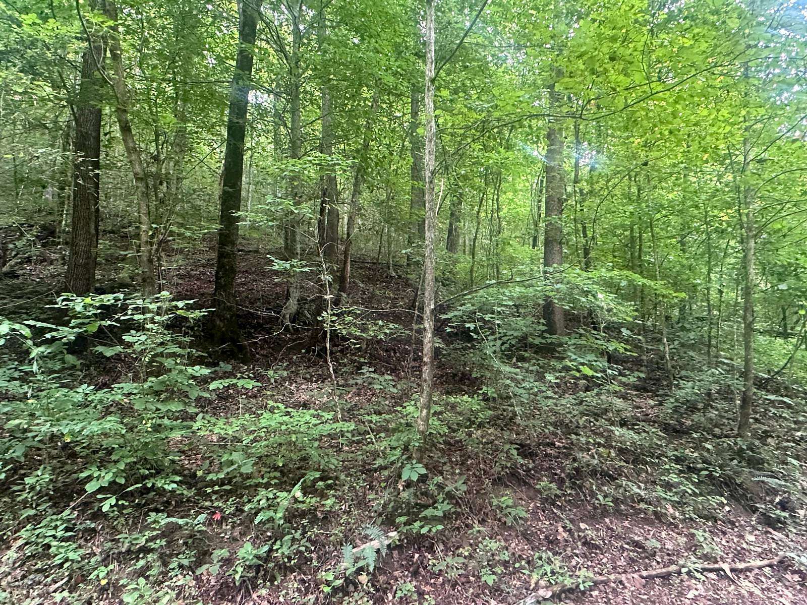 11 Acres of Recreational Land for Sale in Celina, Tennessee