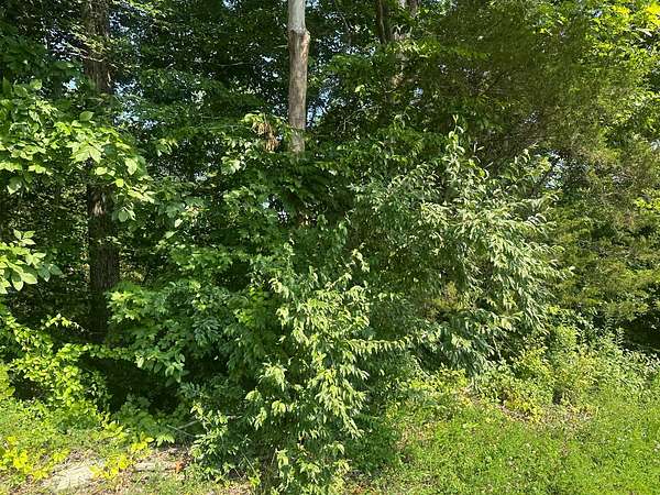 1 Acre of Land for Sale in Celina, Tennessee