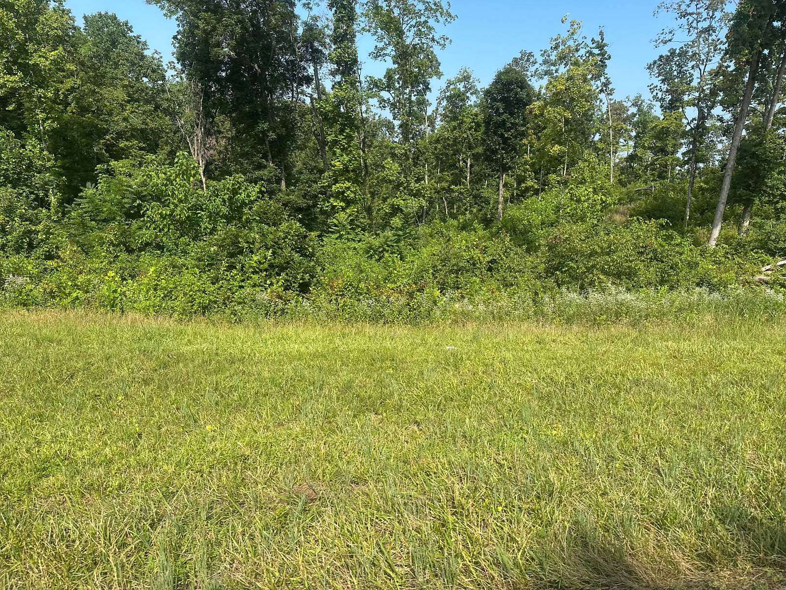 1 Acre of Land for Sale in Celina, Tennessee