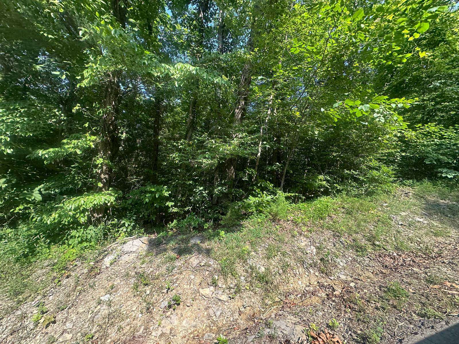 1 Acre of Land for Sale in Celina, Tennessee