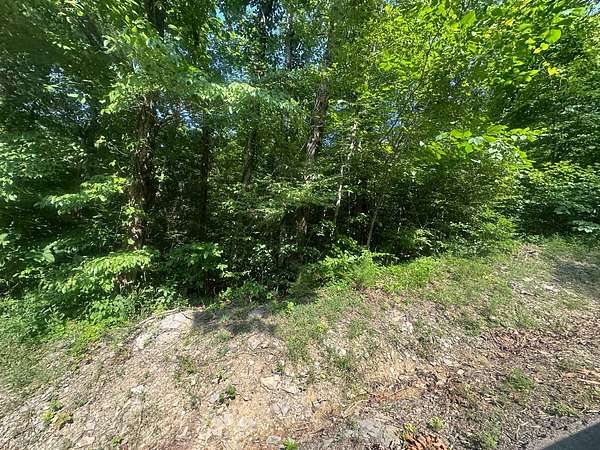 1 Acre of Land for Sale in Celina, Tennessee