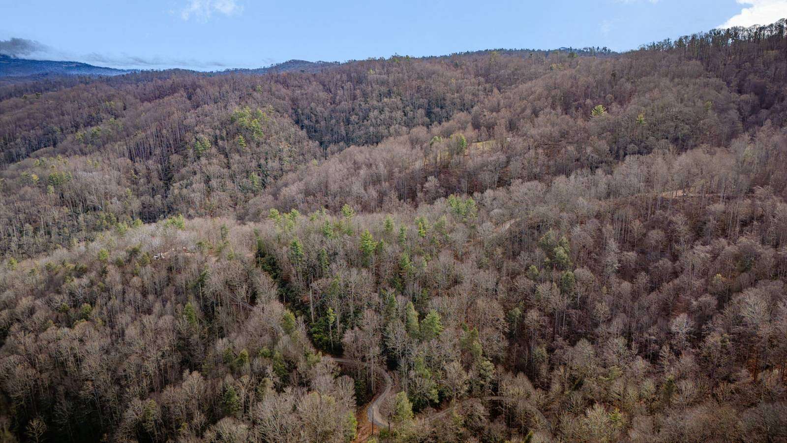 5 Acres of Residential Land for Auction in Butler, Tennessee