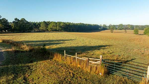 75 Acres of Agricultural Land for Sale in Morton, Mississippi