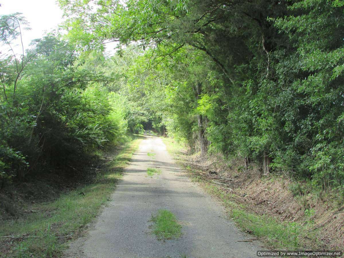 28.7 Acres of Land for Sale in Carthage, Mississippi