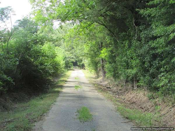 28.7 Acres of Land for Sale in Carthage, Mississippi
