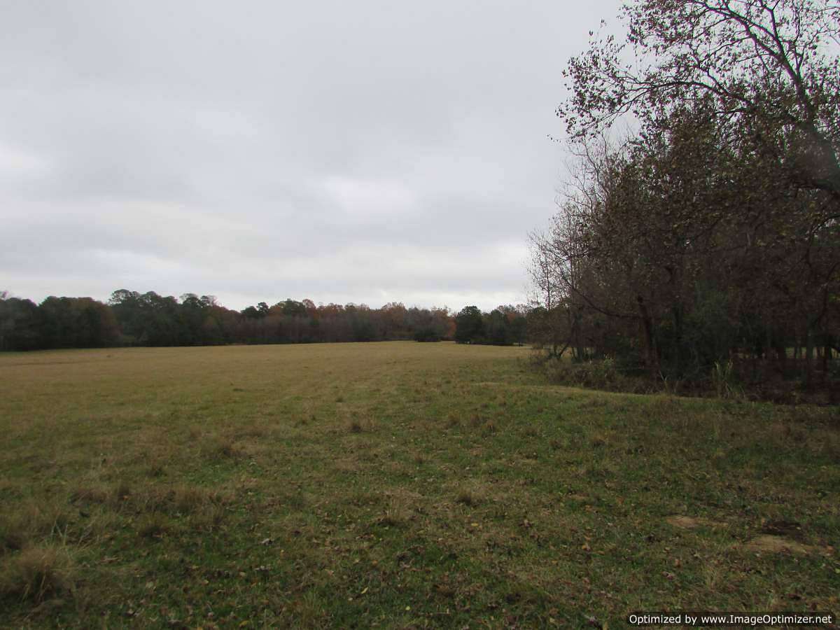 38 Acres of Land for Sale in Madison, Mississippi