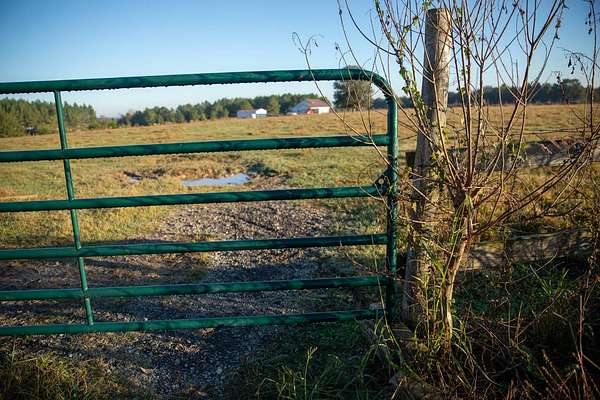 108 Acres of Land for Sale in Morton, Mississippi