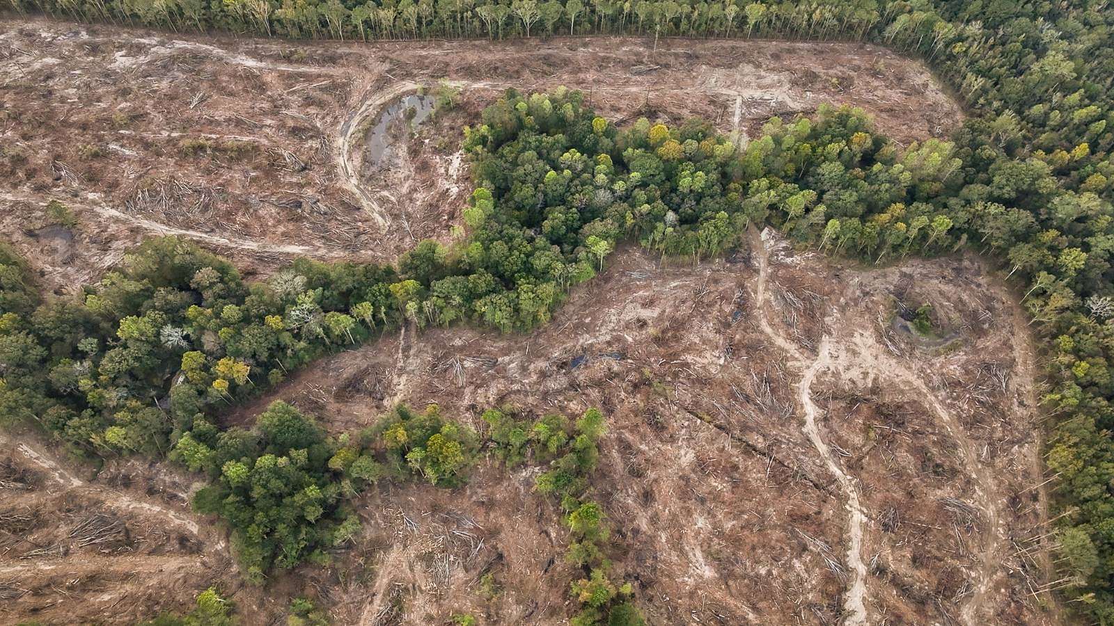 47 Acres of Land for Sale in Brandon, Mississippi