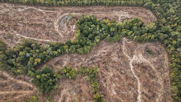 47 Acres of Land for Sale in Brandon, Mississippi