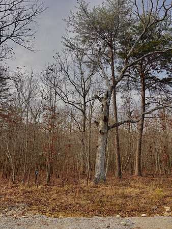 0.46 Acres of Residential Land for Sale in Monteagle, Tennessee