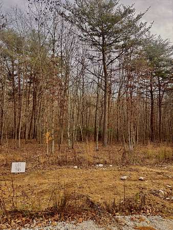 0.35 Acres of Residential Land for Sale in Monteagle, Tennessee