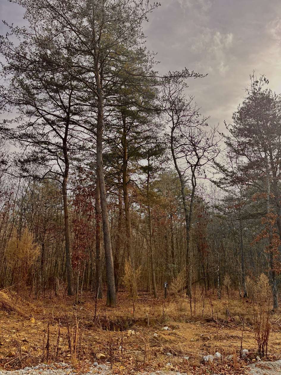 0.85 Acres of Residential Land for Sale in Monteagle, Tennessee