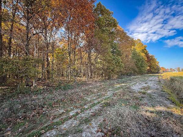 298 Acres of Recreational Land & Farm for Sale in Hickory Ridge, Arkansas