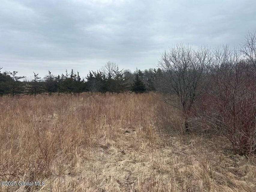 1.24 Acres of Land for Sale in Athens, New York