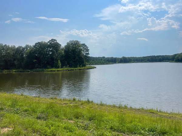 60 Acres of Recreational Land for Sale in Mantee, Mississippi