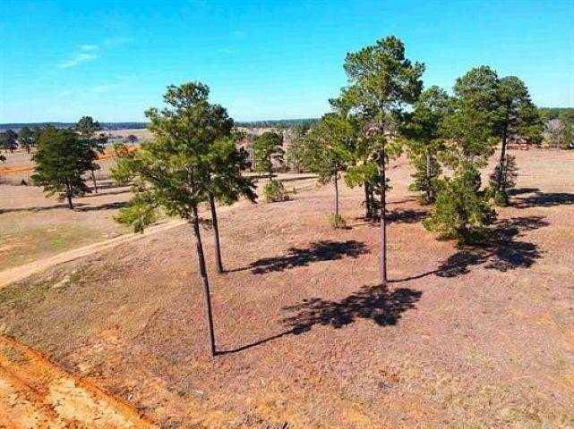 2.62 Acres of Residential Land for Sale in Hillister, Texas