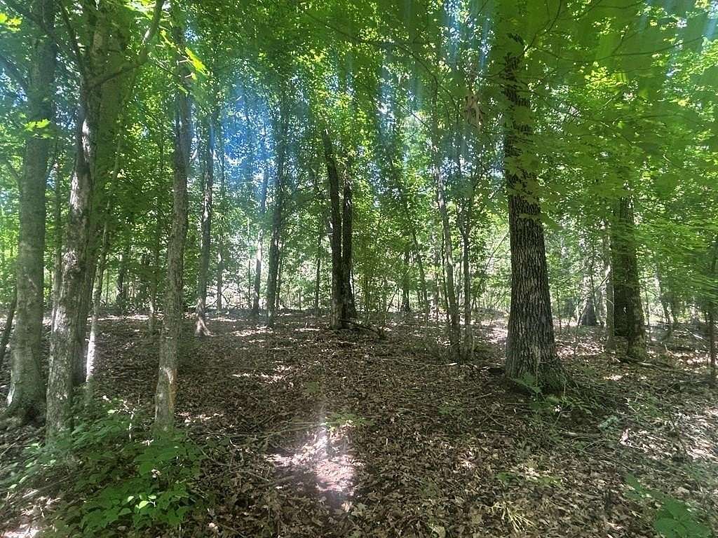 55.8 Acres of Recreational & Residential Land for Sale in Crofton, Kentucky