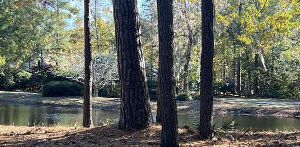 0.22 Acres of Residential Land for Sale in Pawleys Island, South Carolina