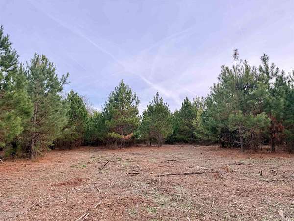 6.57 Acres of Land for Sale in Johnsonville, South Carolina
