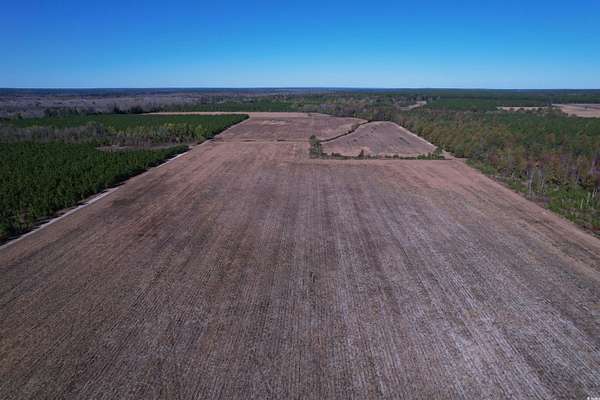 53.9 Acres of Land for Sale in Bishopville, South Carolina