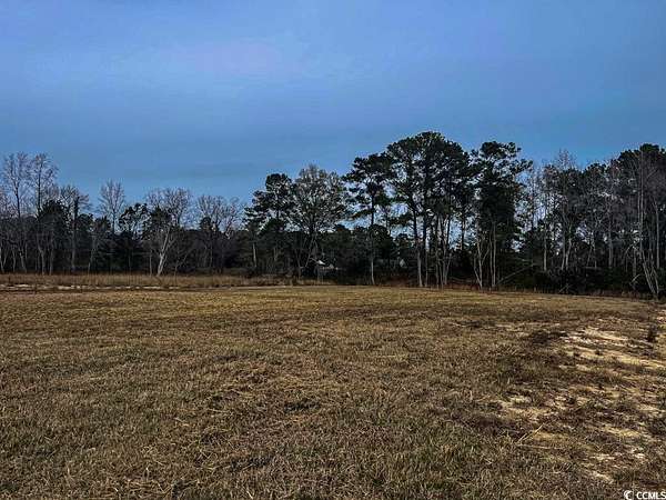 1 Acre of Residential Land for Sale in Conway, South Carolina
